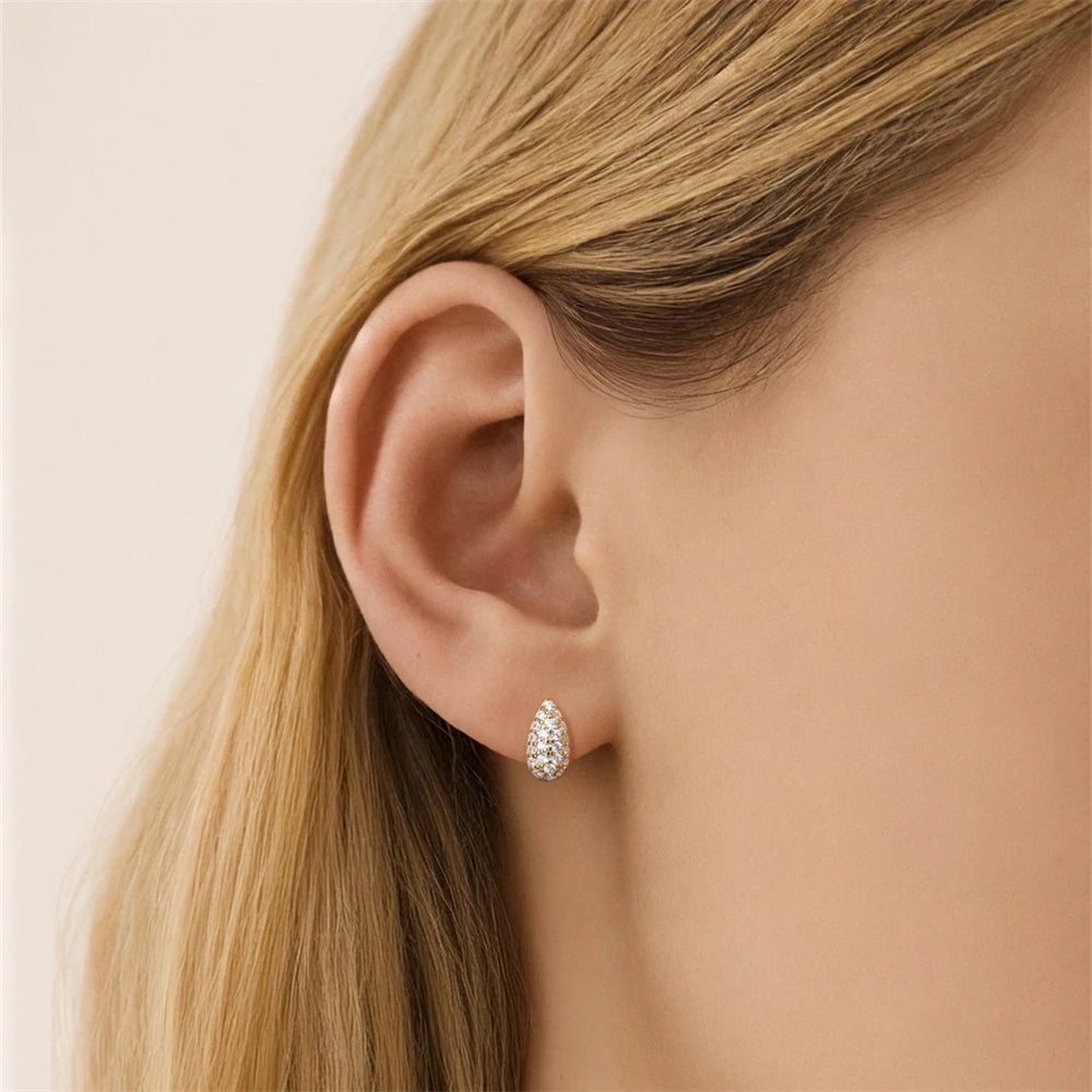 CANNER 925 Sterling Silver Water Droplet Luxurious Full Zircon Stud Earrings For Women Ins Simple Elegant Earrings Jewelry Gift