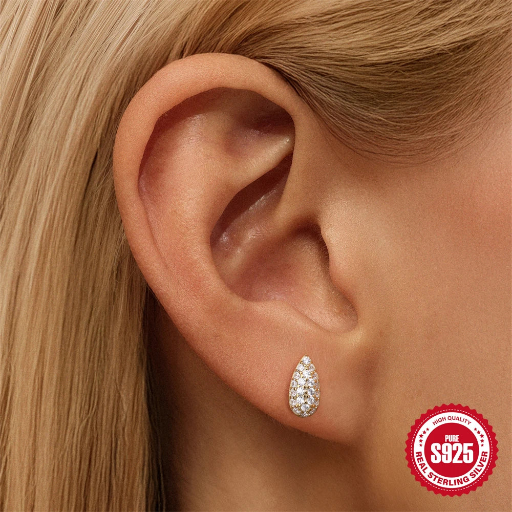 CANNER 925 Sterling Silver Water Droplet Luxurious Full Zircon Stud Earrings For Women Ins Simple Elegant Earrings Jewelry Gift