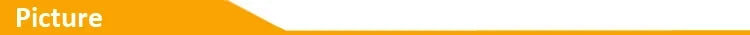Car Wireless Adapter Bluetooth 5.0 FM Transmitter Mic Audio Receiver Auto MP3 Player 2.1A Dual USB Fast Charger Car Accessories
