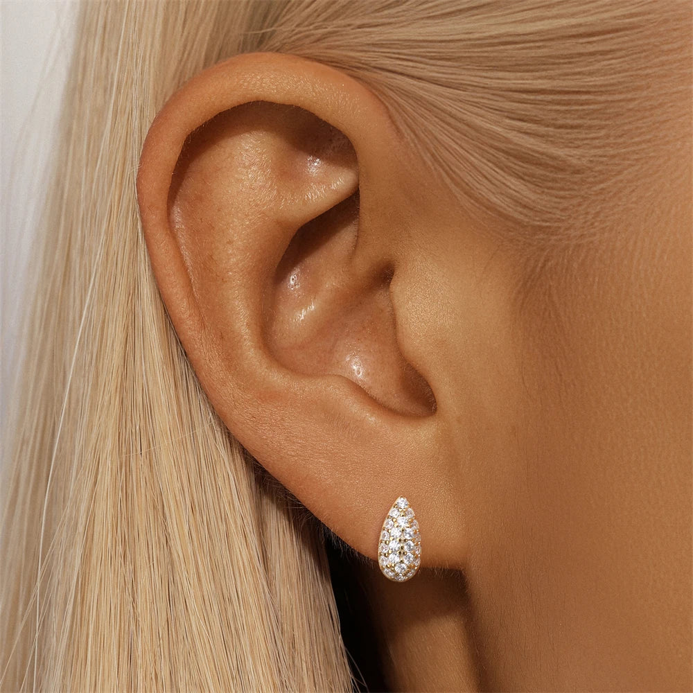 CANNER 925 Sterling Silver Water Droplet Luxurious Full Zircon Stud Earrings For Women Ins Simple Elegant Earrings Jewelry Gift