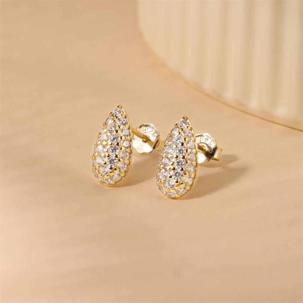 CANNER 925 Sterling Silver Water Droplet Luxurious Full Zircon Stud Earrings For Women Ins Simple Elegant Earrings Jewelry Gift
