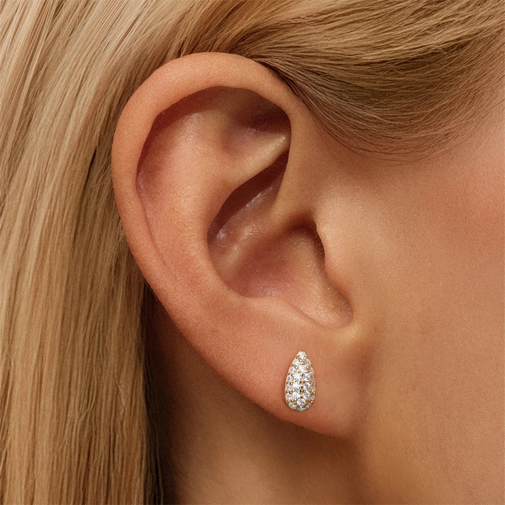 CANNER 925 Sterling Silver Water Droplet Luxurious Full Zircon Stud Earrings For Women Ins Simple Elegant Earrings Jewelry Gift